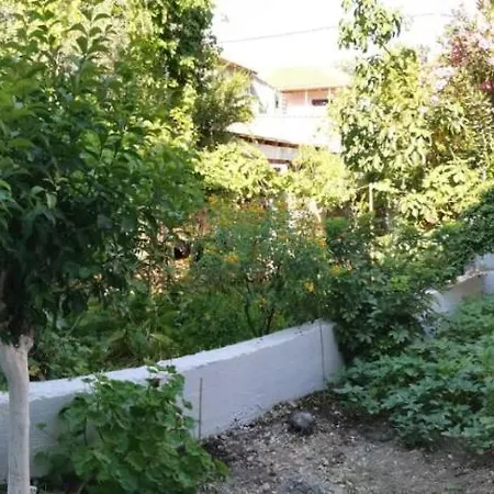 Βασιλική Ενοικ. Δωμάτια *